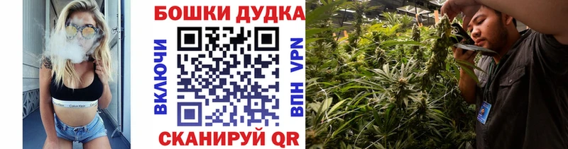 Где продают наркотики Ногинск Бошки Шишки  КОКАИН  Меф мяу мяу 