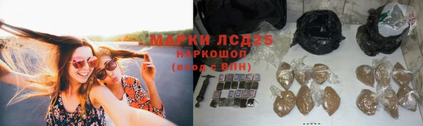 гидропоника Белоозёрский