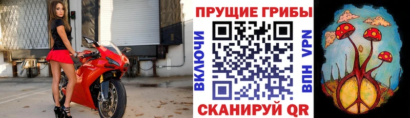 Псилоцибиновые грибы Psilocybe  хочу наркоту  Ногинск 