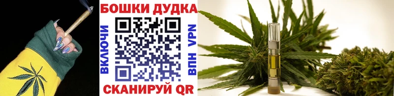 Шишки марихуана гибрид  OMG ССЫЛКА  Ногинск 
